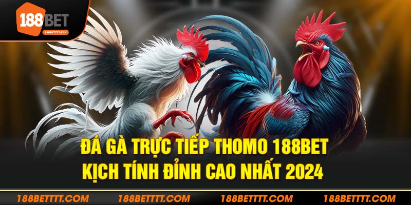 Sàn đá gà trực tiếp thomo 188bet gây cấn nhất hành tinh